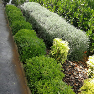 Foto-10