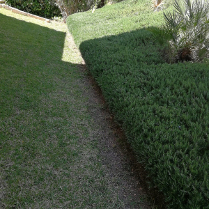 Foto-12