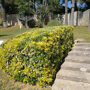 Foto-13