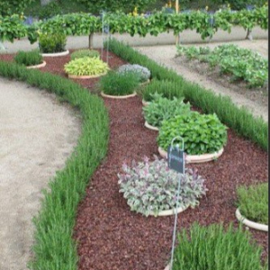Foto-Gartendetail-1