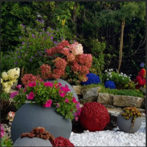 Foto-Gartendetail