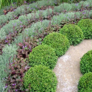 Gartendetail-2